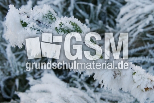 Winterimpressionen 053.jpg